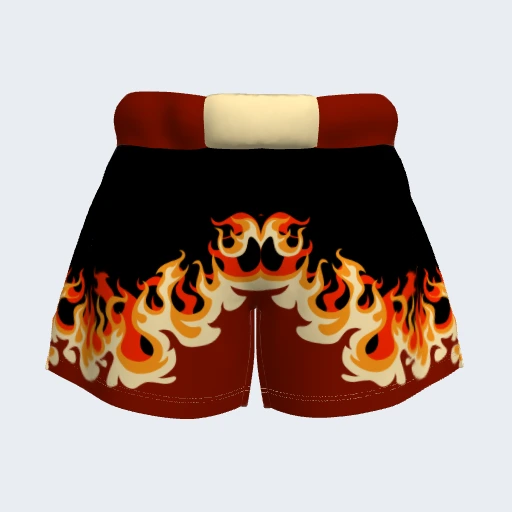 Fighter Blaze