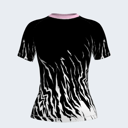 Zebra Break