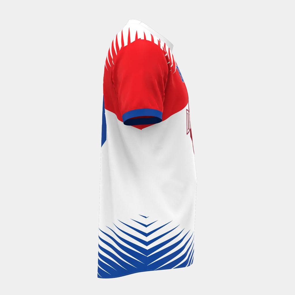 Poised Dragons Soccer Shirt by Kit Designer Pro